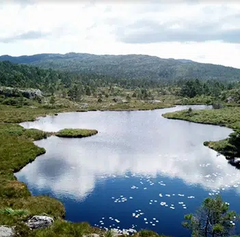 lac norvégien