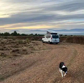 un chien se promenant à côté d'un van aménagé hanroad