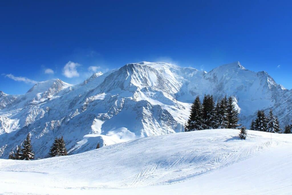 montagnes enneigées avec des sapins devant